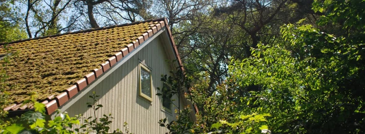 Het Roodborstje